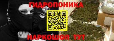 индика Будённовск