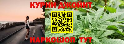 индика Будённовск