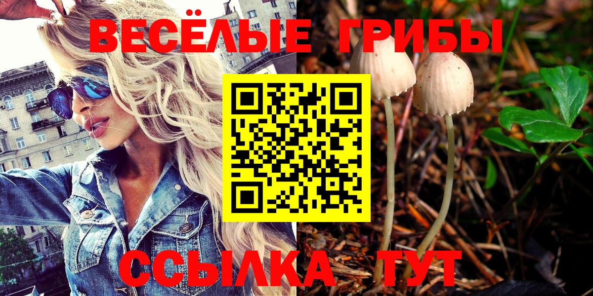 наркота  Галлюциногенные грибы Psilocybine cubensis  Вход с VPN  Балахна 