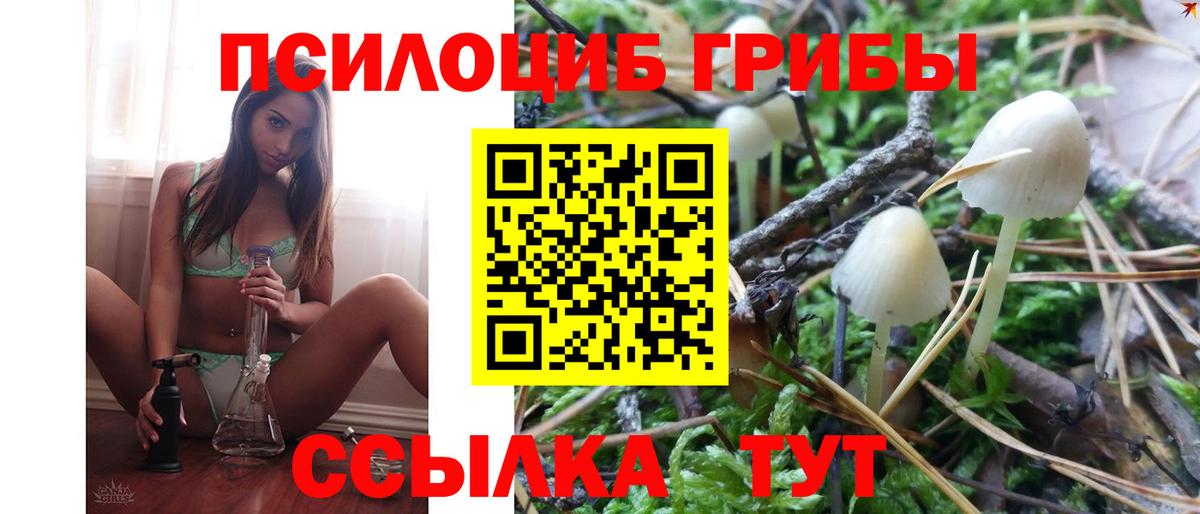 Галлюциногенные грибы ЛСД Балахна